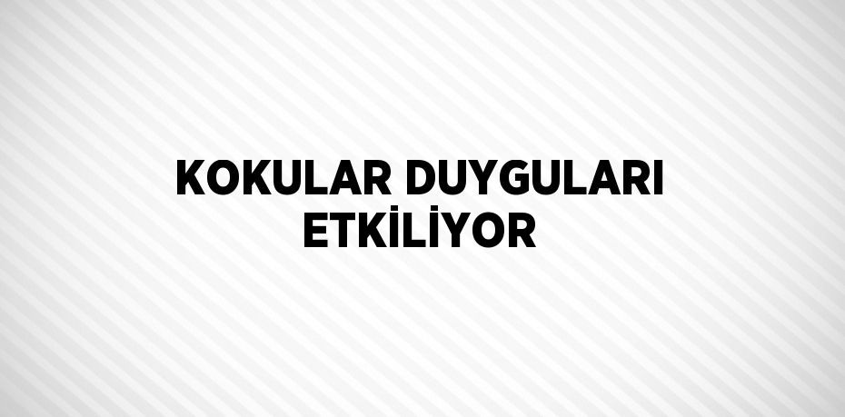 KOKULAR DUYGULARI ETKİLİYOR