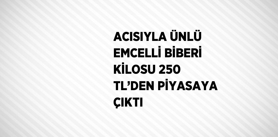 ACISIYLA ÜNLÜ EMCELLİ BİBERİ KİLOSU 250 TL’DEN PİYASAYA ÇIKTI