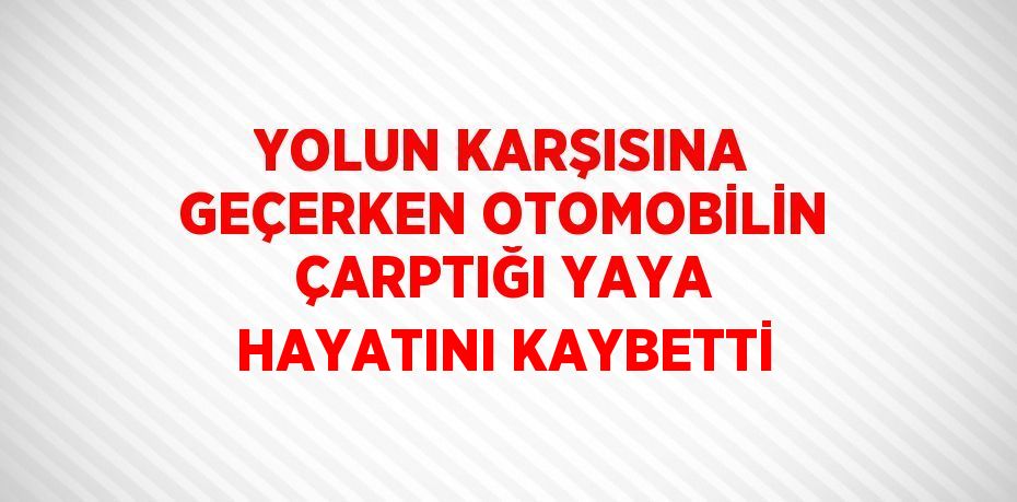 YOLUN KARŞISINA GEÇERKEN OTOMOBİLİN ÇARPTIĞI YAYA HAYATINI KAYBETTİ