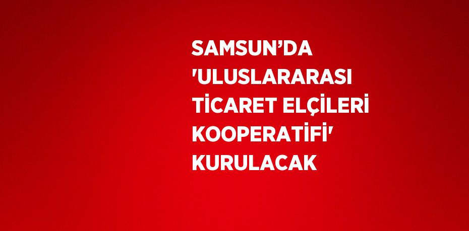 SAMSUN’DA 'ULUSLARARASI TİCARET ELÇİLERİ KOOPERATİFİ' KURULACAK