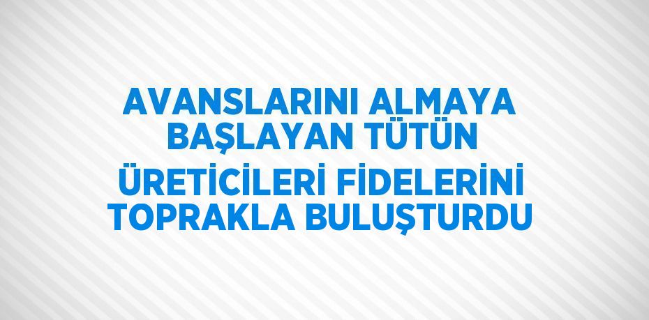 AVANSLARINI ALMAYA BAŞLAYAN TÜTÜN ÜRETİCİLERİ FİDELERİNİ TOPRAKLA BULUŞTURDU