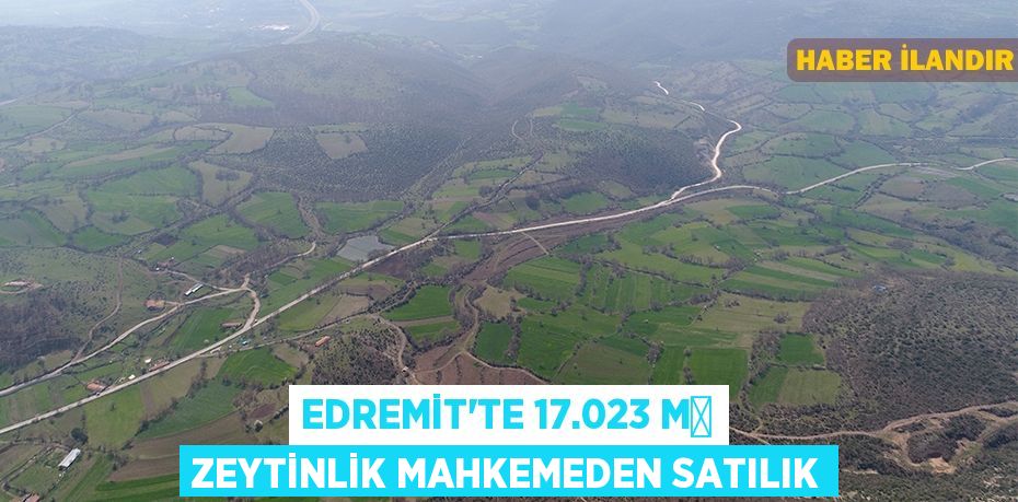 Edremit'te 17.023 m² zeytinlik mahkemeden satılık