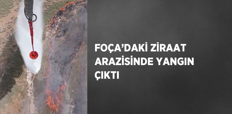 FOÇA’DAKİ ZİRAAT ARAZİSİNDE YANGIN ÇIKTI