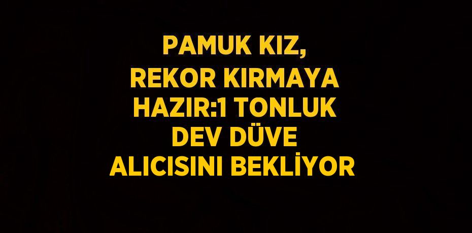 PAMUK KIZ, REKOR KIRMAYA HAZIR:1 TONLUK DEV DÜVE ALICISINI BEKLİYOR