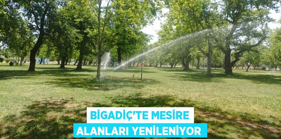 BİGADİÇ’TE MESİRE ALANLARI YENİLENİYOR