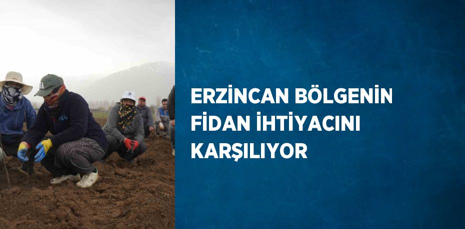 ERZİNCAN BÖLGENİN FİDAN İHTİYACINI KARŞILIYOR