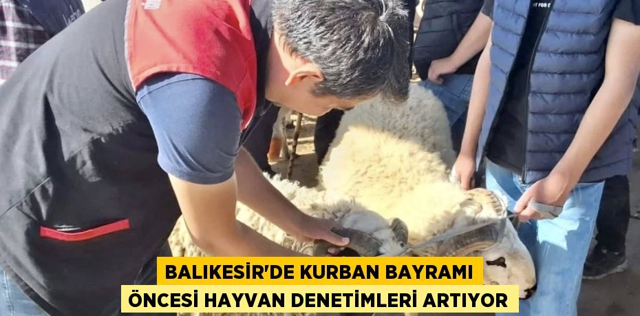 BALIKESİR’DE KURBAN BAYRAMI ÖNCESİ HAYVAN DENETİMLERİ ARTIYOR