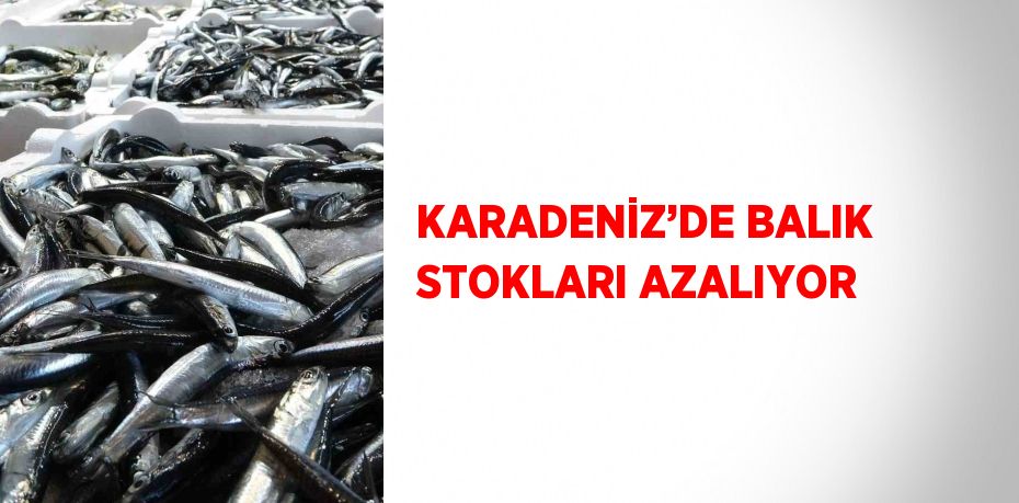 KARADENİZ’DE BALIK STOKLARI AZALIYOR