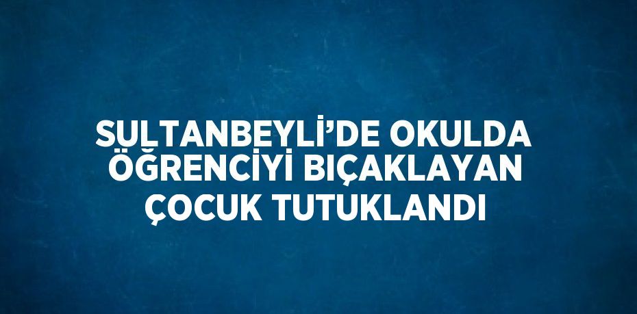 SULTANBEYLİ’DE OKULDA ÖĞRENCİYİ BIÇAKLAYAN ÇOCUK TUTUKLANDI