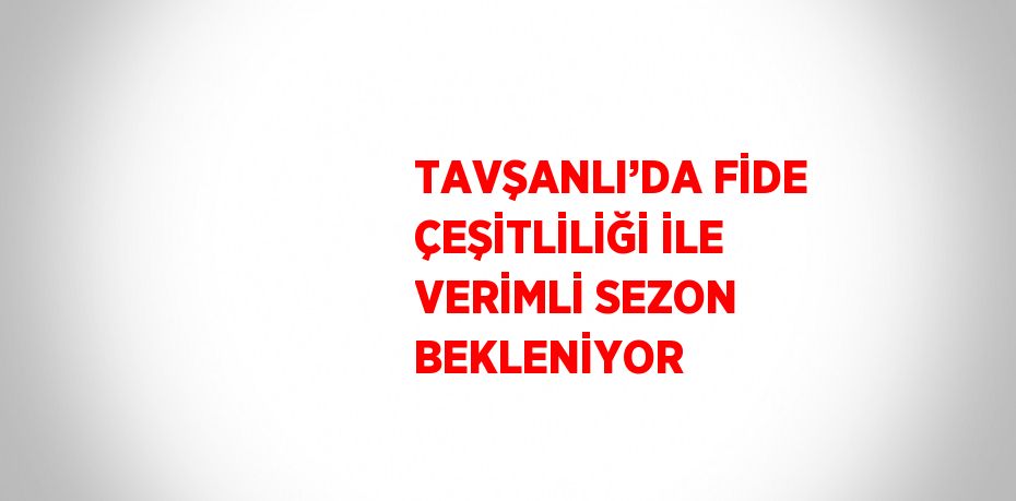 TAVŞANLI’DA FİDE ÇEŞİTLİLİĞİ İLE VERİMLİ SEZON BEKLENİYOR