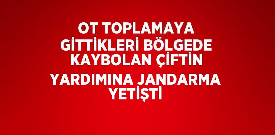 OT TOPLAMAYA GİTTİKLERİ BÖLGEDE KAYBOLAN ÇİFTİN YARDIMINA JANDARMA YETİŞTİ