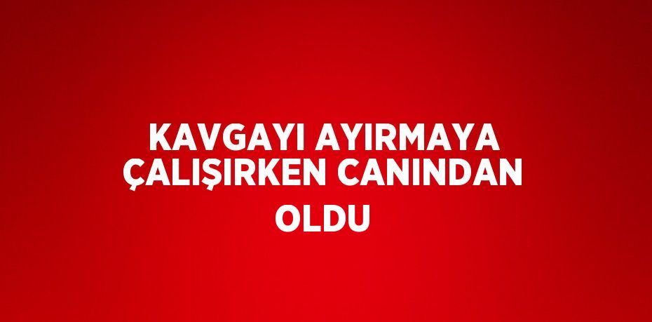 KAVGAYI AYIRMAYA ÇALIŞIRKEN CANINDAN OLDU