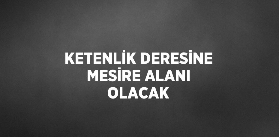 KETENLİK DERESİNE MESİRE ALANI OLACAK