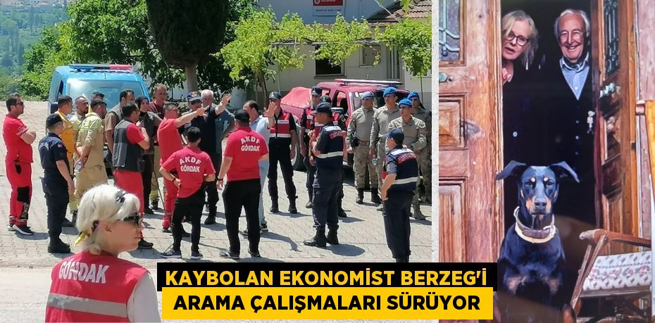 Kaybolan Ekonomist Berzeg'i  arama çalışmaları sürüyor