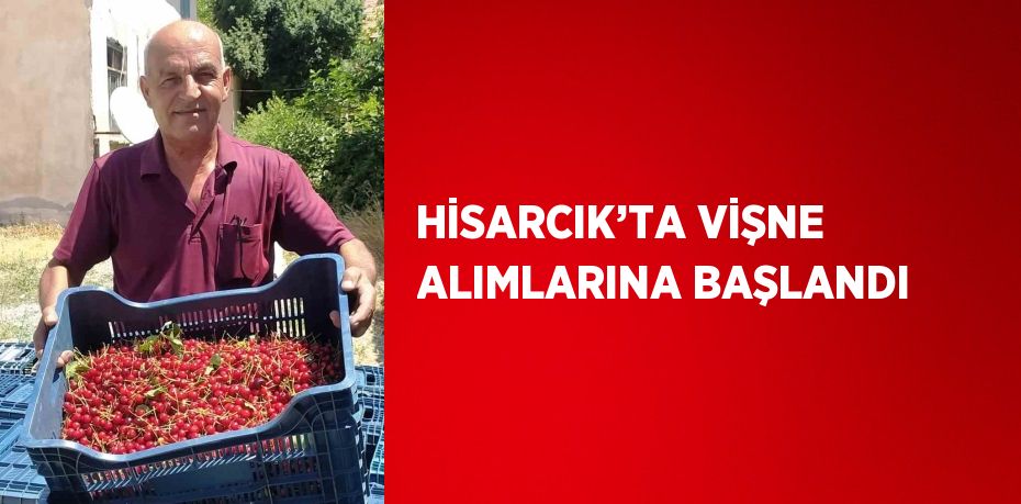 HİSARCIK’TA VİŞNE ALIMLARINA BAŞLANDI