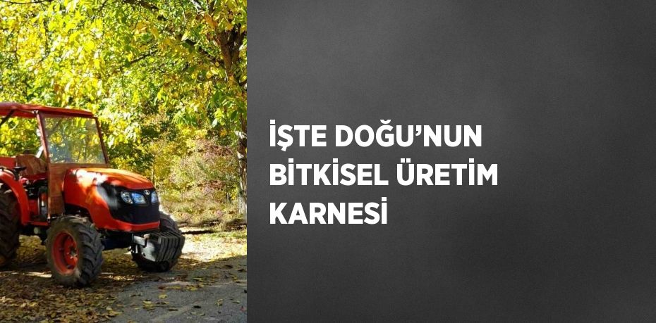 İŞTE DOĞU’NUN BİTKİSEL ÜRETİM KARNESİ