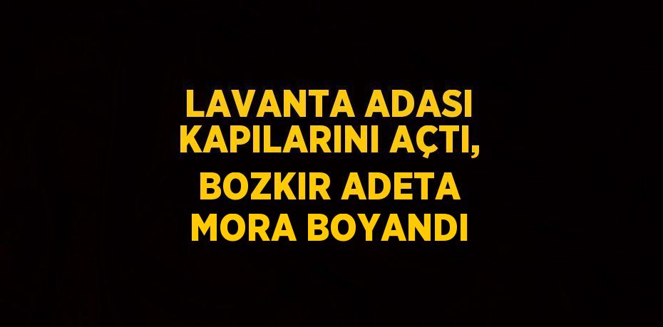 LAVANTA ADASI KAPILARINI AÇTI, BOZKIR ADETA MORA BOYANDI