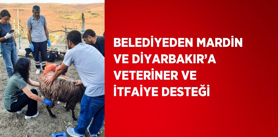 BELEDİYEDEN MARDİN VE DİYARBAKIR’A VETERİNER VE İTFAİYE DESTEĞİ