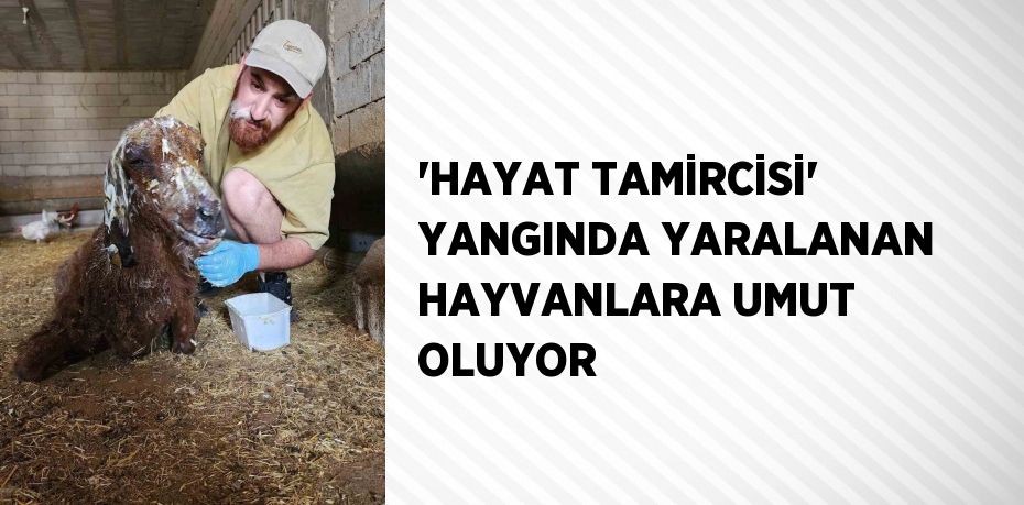 'HAYAT TAMİRCİSİ' YANGINDA YARALANAN HAYVANLARA UMUT OLUYOR