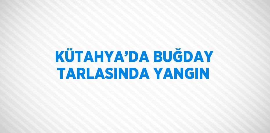 KÜTAHYA’DA BUĞDAY TARLASINDA YANGIN