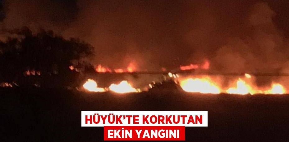 HÜYÜK’TE KORKUTAN EKİN YANGINI