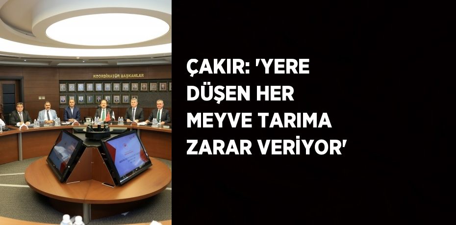 ÇAKIR: 'YERE DÜŞEN HER MEYVE TARIMA ZARAR VERİYOR'