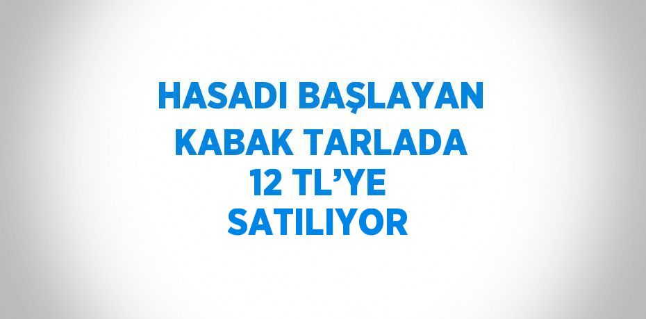 HASADI BAŞLAYAN KABAK TARLADA 12 TL’YE SATILIYOR