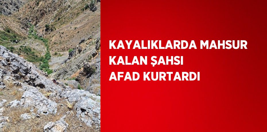 KAYALIKLARDA MAHSUR KALAN ŞAHSI AFAD KURTARDI