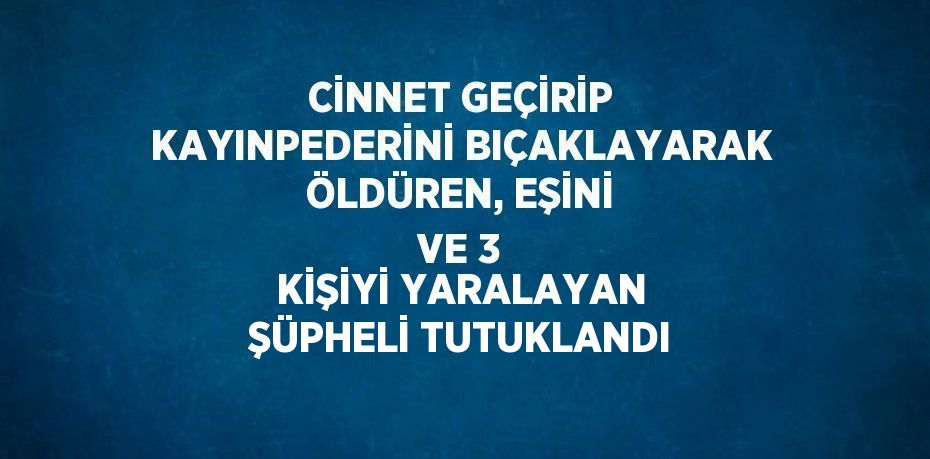 CİNNET GEÇİRİP KAYINPEDERİNİ BIÇAKLAYARAK ÖLDÜREN, EŞİNİ VE 3 KİŞİYİ YARALAYAN ŞÜPHELİ TUTUKLANDI