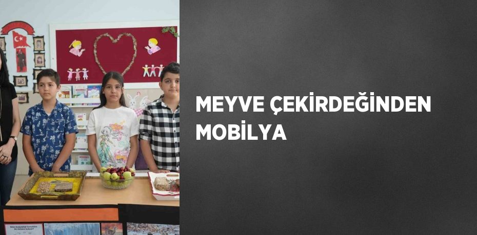 MEYVE ÇEKİRDEĞİNDEN MOBİLYA