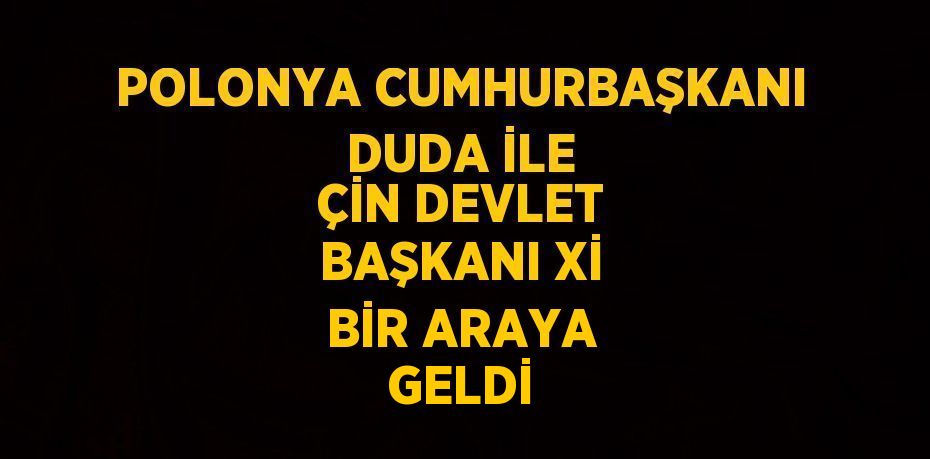 POLONYA CUMHURBAŞKANI DUDA İLE ÇİN DEVLET BAŞKANI Xİ BİR ARAYA GELDİ