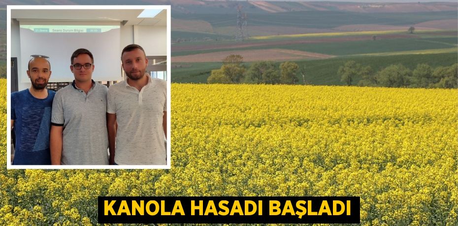 KANOLA HASADI BAŞLADI