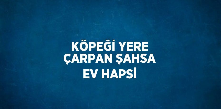KÖPEĞİ YERE ÇARPAN ŞAHSA EV HAPSİ