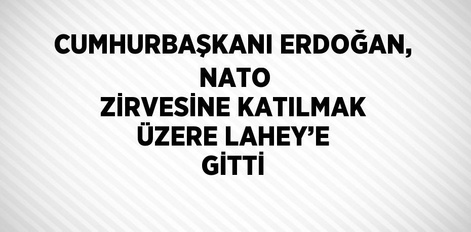 CUMHURBAŞKANI ERDOĞAN,  NATO ZİRVESİNE KATILMAK ÜZERE LAHEY’E GİTTİ