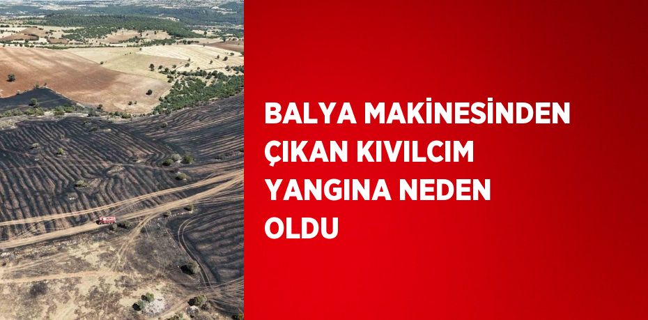 BALYA MAKİNESİNDEN ÇIKAN KIVILCIM YANGINA NEDEN OLDU