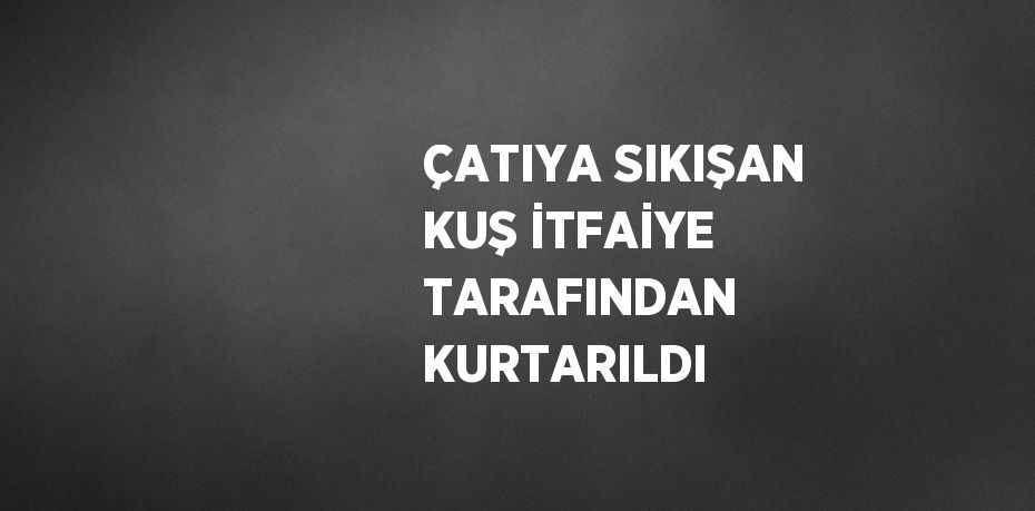 ÇATIYA SIKIŞAN KUŞ İTFAİYE TARAFINDAN KURTARILDI