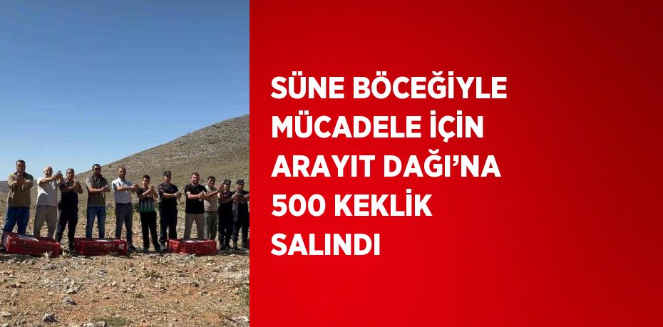 SÜNE BÖCEĞİYLE MÜCADELE İÇİN ARAYIT DAĞI’NA 500 KEKLİK SALINDI