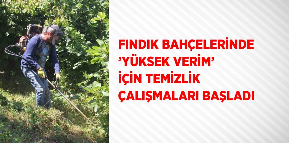 FINDIK BAHÇELERİNDE ’YÜKSEK VERİM’ İÇİN TEMİZLİK ÇALIŞMALARI BAŞLADI