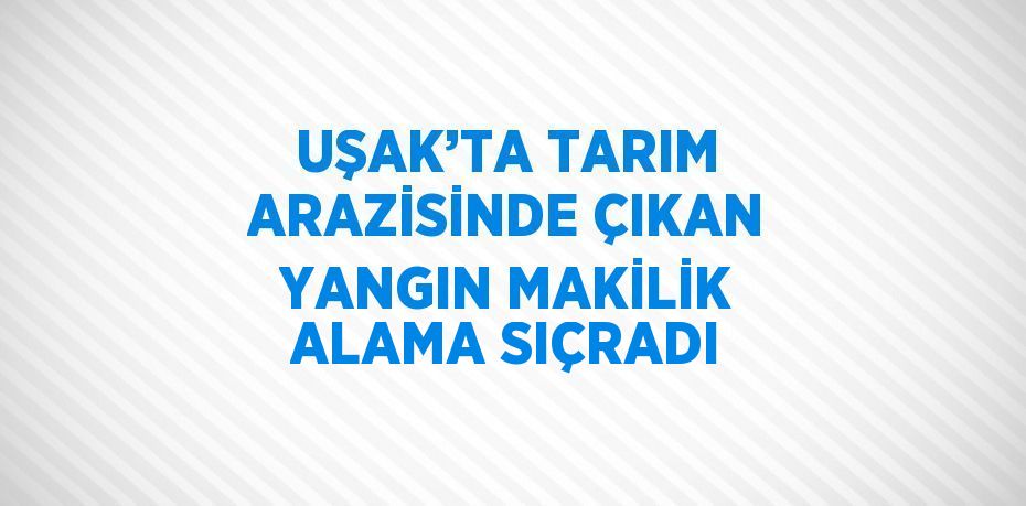 UŞAK’TA TARIM ARAZİSİNDE ÇIKAN YANGIN MAKİLİK ALAMA SIÇRADI