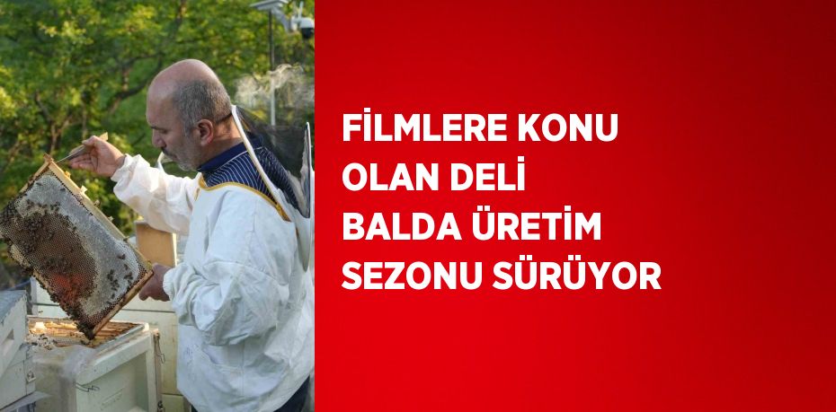 FİLMLERE KONU OLAN DELİ BALDA ÜRETİM SEZONU SÜRÜYOR