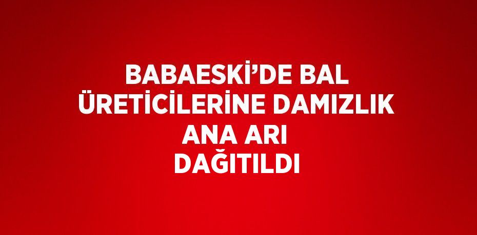 BABAESKİ’DE BAL ÜRETİCİLERİNE DAMIZLIK ANA ARI DAĞITILDI