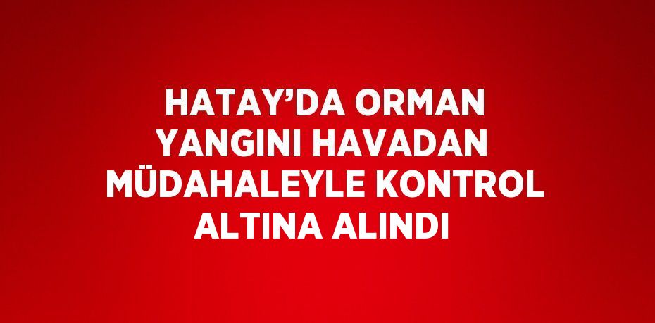 HATAY’DA ORMAN YANGINI HAVADAN MÜDAHALEYLE KONTROL ALTINA ALINDI
