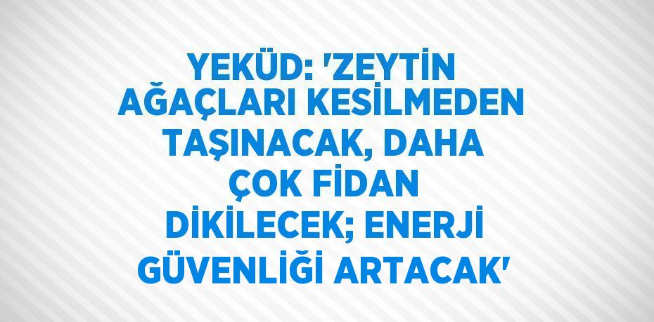 YEKÜD: 'ZEYTİN AĞAÇLARI KESİLMEDEN TAŞINACAK, DAHA ÇOK FİDAN DİKİLECEK; ENERJİ GÜVENLİĞİ ARTACAK'