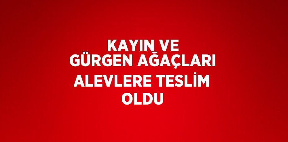KAYIN VE GÜRGEN AĞAÇLARI ALEVLERE TESLİM OLDU