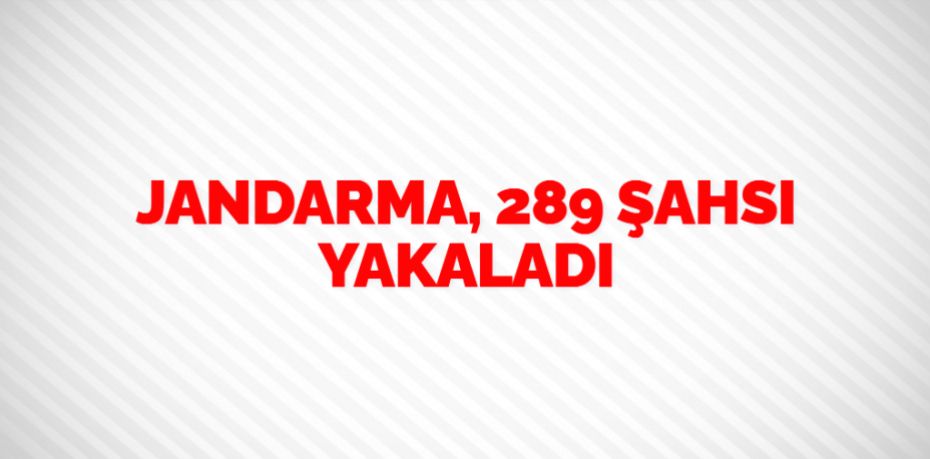 JANDARMA, 289 ŞAHSI YAKALADI