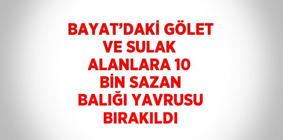 BAYAT’DAKİ GÖLET VE SULAK ALANLARA 10 BİN SAZAN BALIĞI YAVRUSU BIRAKILDI