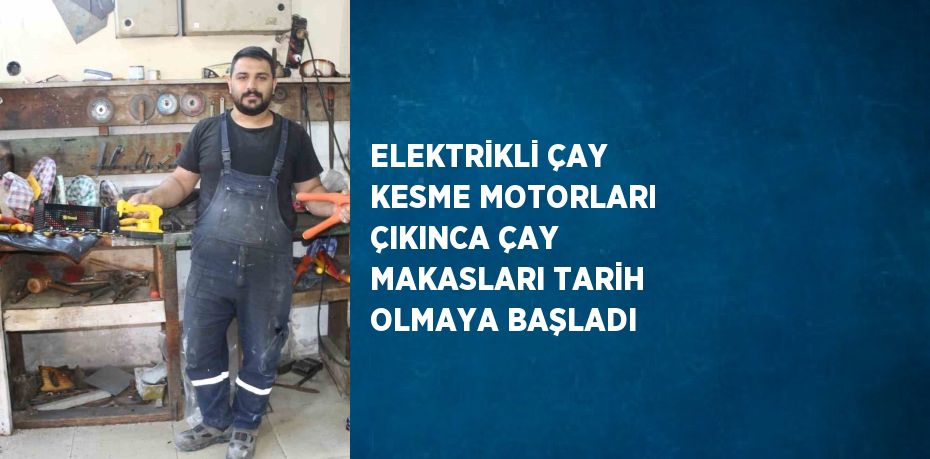 ELEKTRİKLİ ÇAY KESME MOTORLARI ÇIKINCA ÇAY MAKASLARI TARİH OLMAYA BAŞLADI
