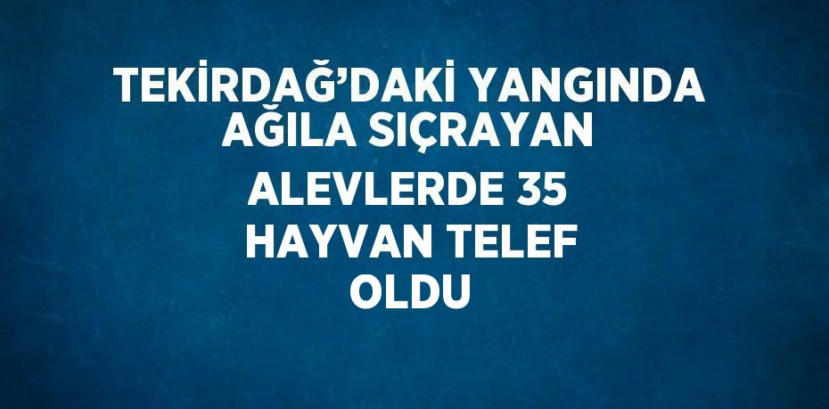 TEKİRDAĞ’DAKİ YANGINDA AĞILA SIÇRAYAN ALEVLERDE 35 HAYVAN TELEF OLDU