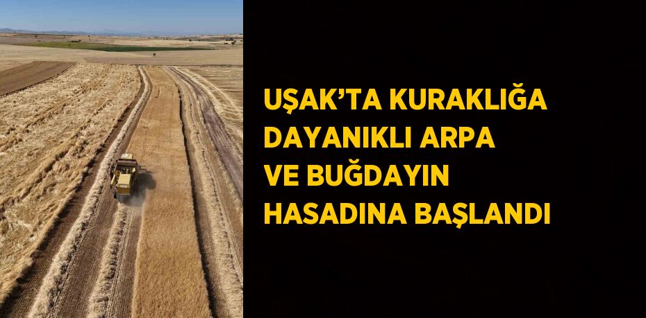 UŞAK’TA KURAKLIĞA DAYANIKLI ARPA VE BUĞDAYIN HASADINA BAŞLANDI