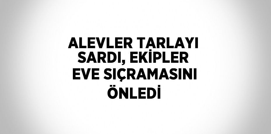 ALEVLER TARLAYI SARDI, EKİPLER EVE SIÇRAMASINI ÖNLEDİ